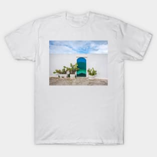 Blue door with cactus and white wall T-Shirt